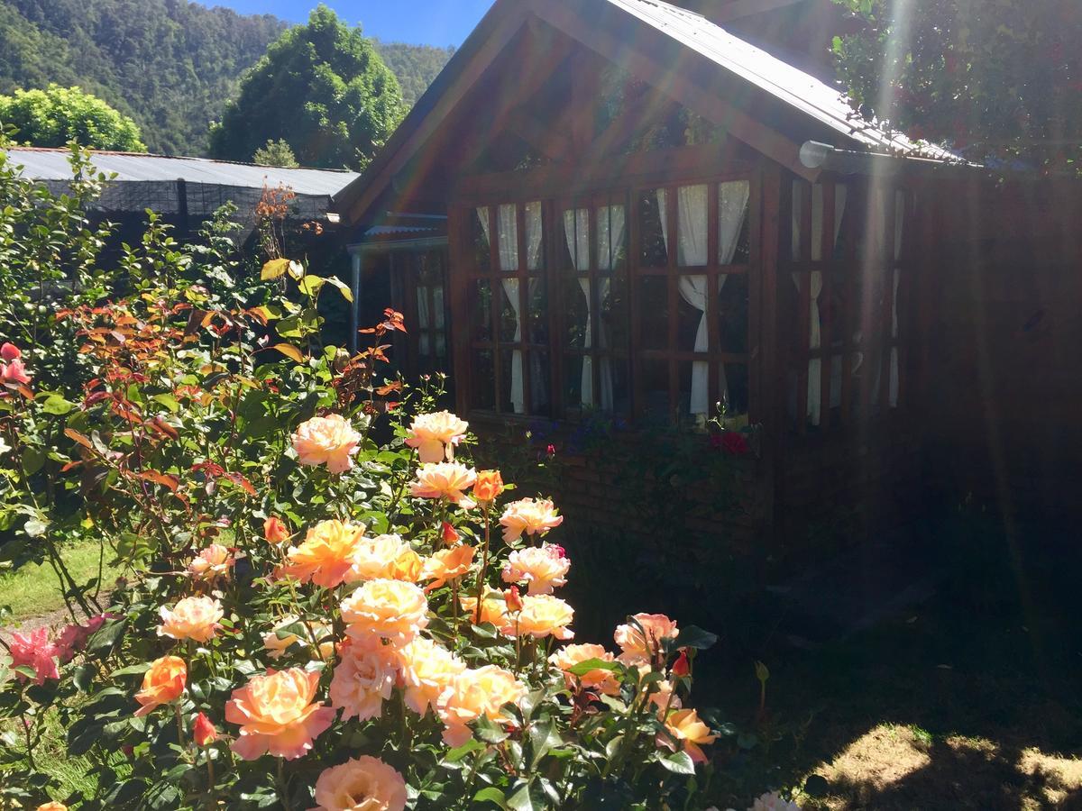 Tu Cabana San Martín de los Andes Екстериор снимка